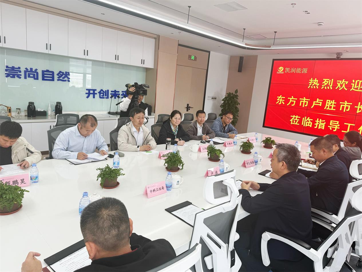 东方市卢胜市长莅临xk体育（东方）新能源有限公司召开座谈会